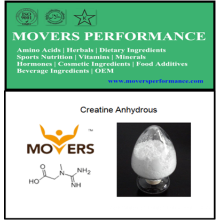 Sports Nutrition: Creatine Anhydrous with CAS No: 57-00-1